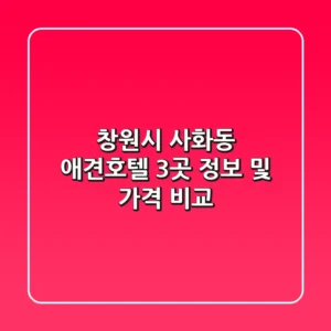 창원시 사화동 애견호텔 3곳 정보 및 가격 비교