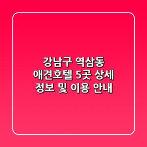강남구 역삼동 애견호텔 5곳 상세 정보 및 이용 안내