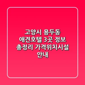 고양시 용두동 애견호텔 3곳 정보 총정리 - 가격/위치/시설 안내