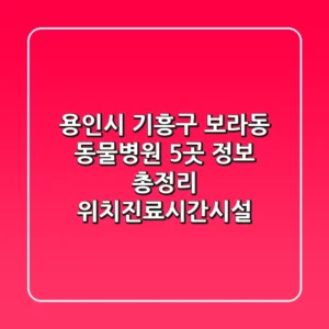용인시 기흥구 보라동 동물병원 5곳 정보 총정리 - 위치/진료시간/시설