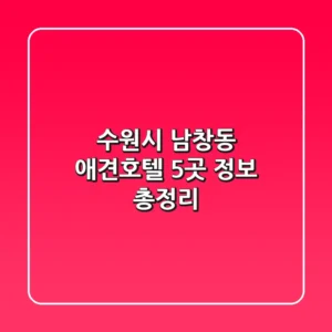 수원시 남창동 애견호텔 5곳 정보 총정리