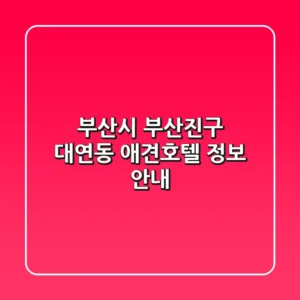 부산시 부산진구 대연동 애견호텔 정보 안내