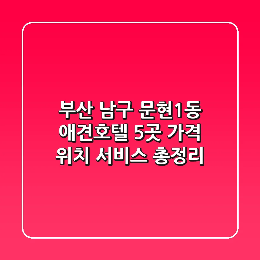 부산 남구 문현1동 애견호텔 5곳 가격, 위치, 서비스 총정리
