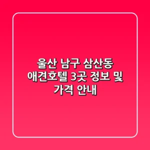 울산 남구 삼산동 애견호텔 3곳 정보 및 가격 안내