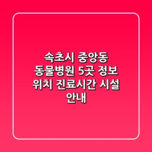 속초시 중앙동 동물병원 5곳 정보 - 위치, 진료시간, 시설 안내