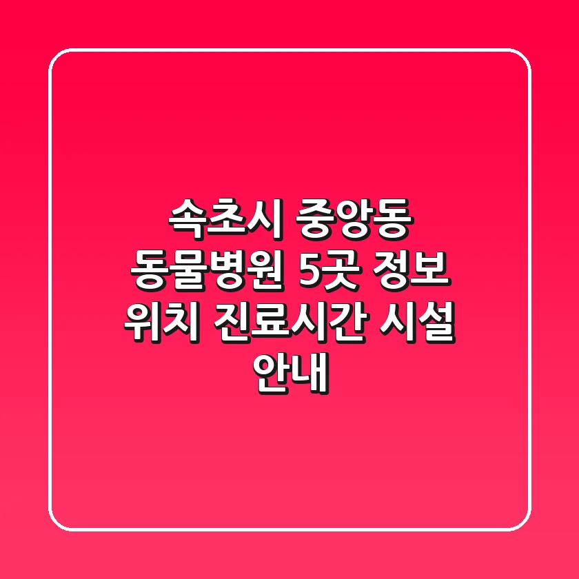 속초시 중앙동 동물병원 5곳 정보 - 위치, 진료시간, 시설 안내