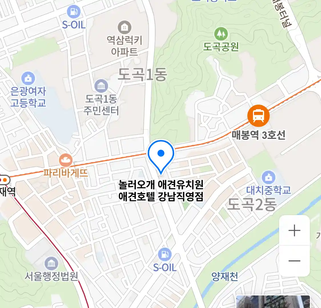 놀러오개 애견유치원 애견호텔 강남직영점 위치