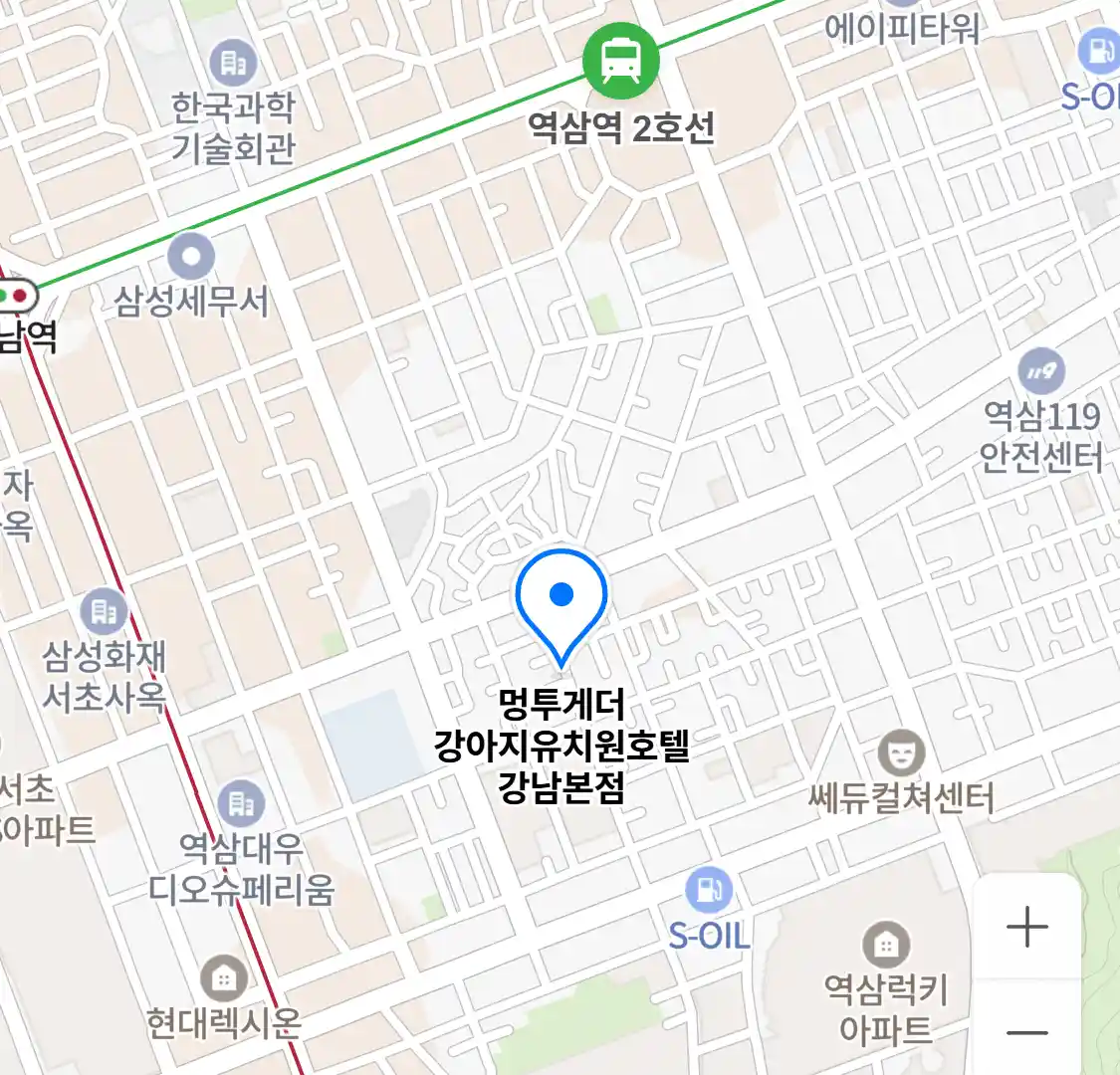멍투게더 강아지유치원호텔 강남본점 위치
