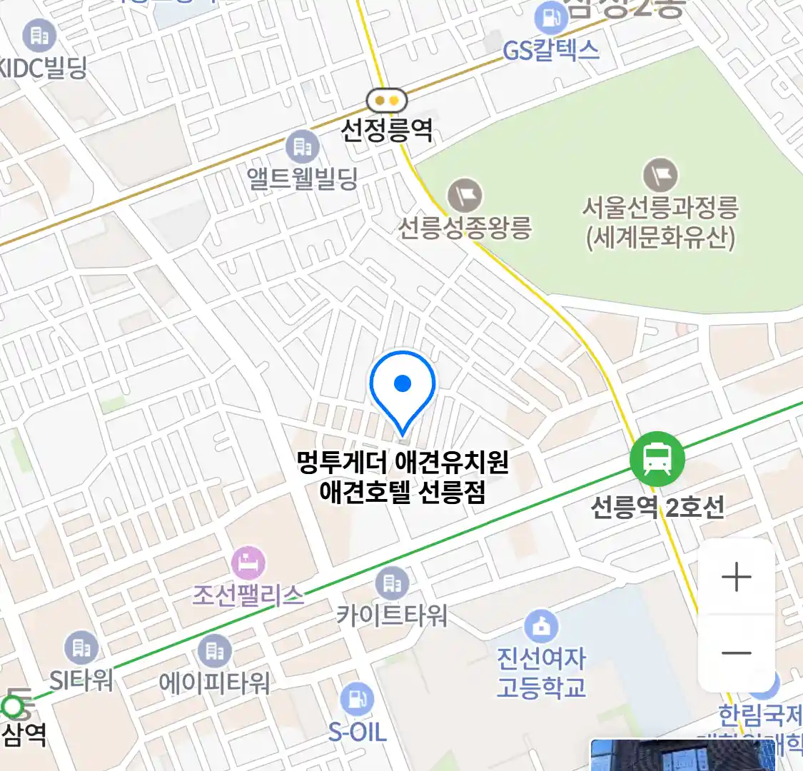 멍투게더 애견유치원 애견호텔 선릉점 위치