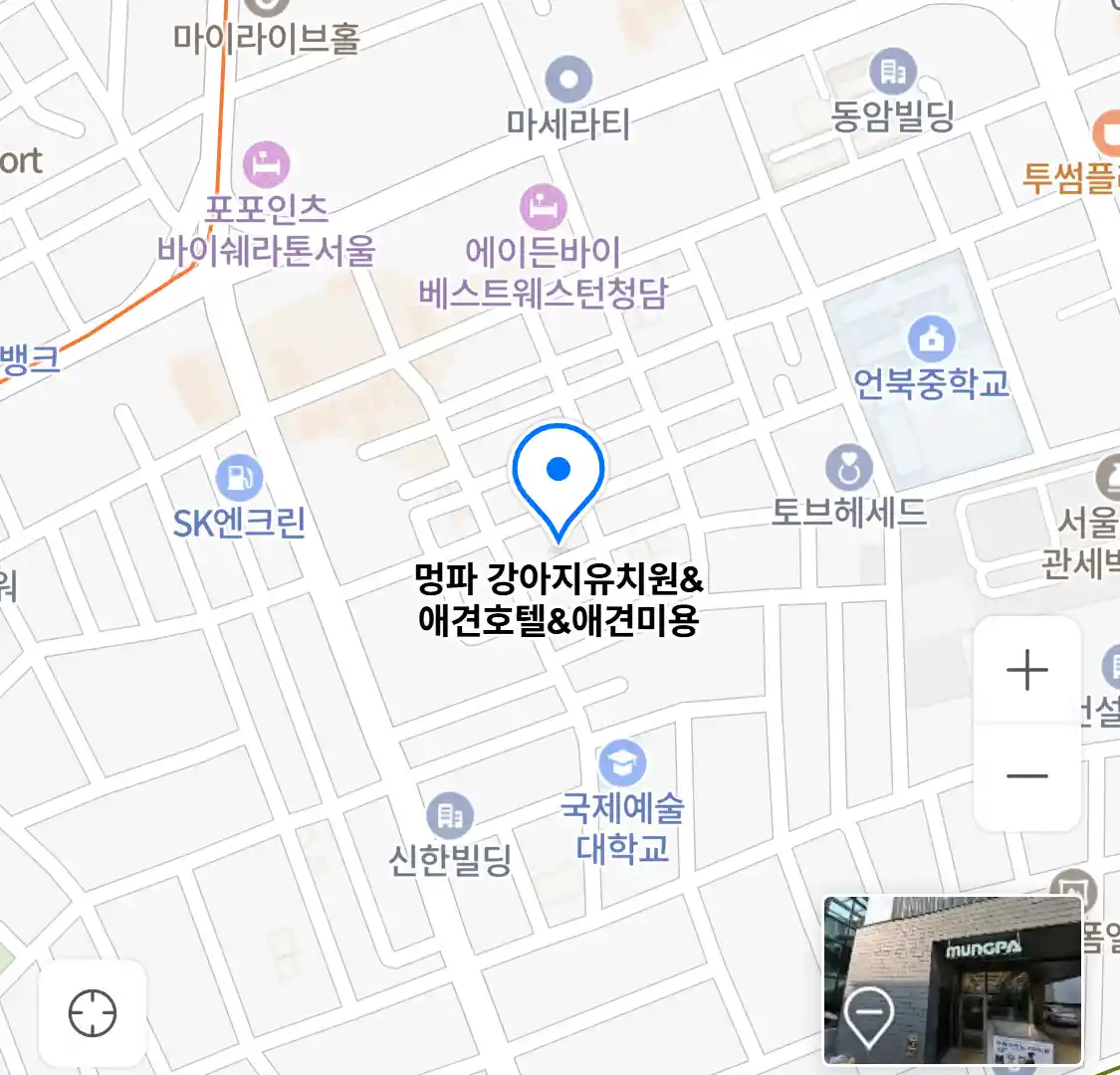 멍파 강아지유치원애견호텔애견미용 위치
