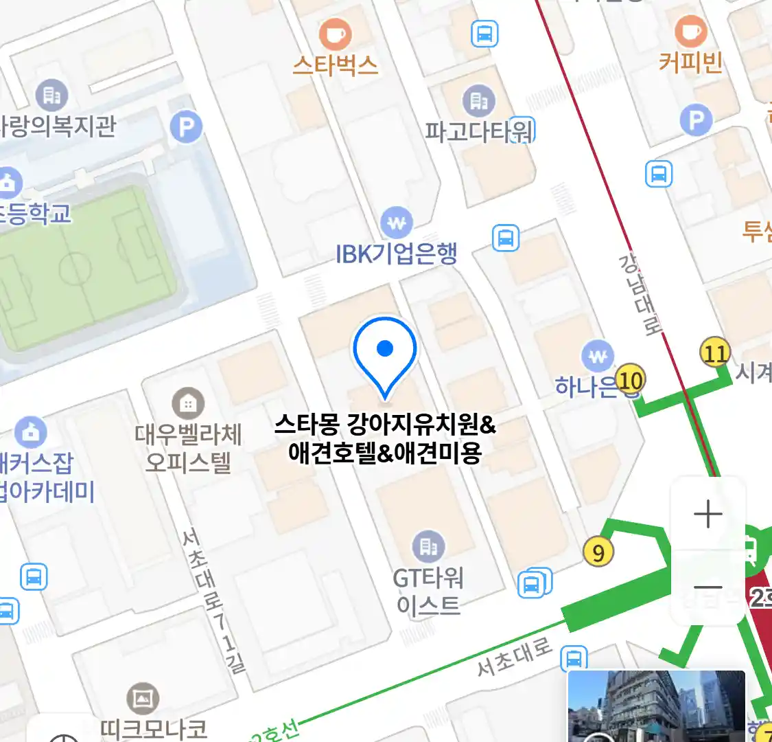 스타몽 강아지유치원애견호텔애견미용 위치