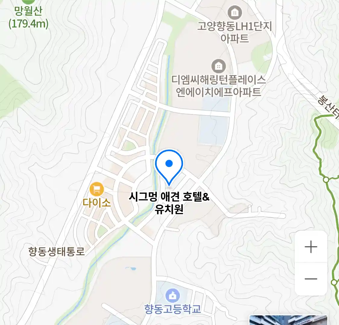 시그멍 애견 호텔&유치원 위치