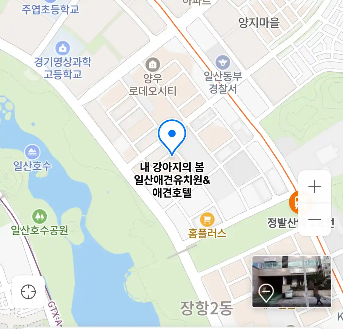 내 강아지의 봄 위치