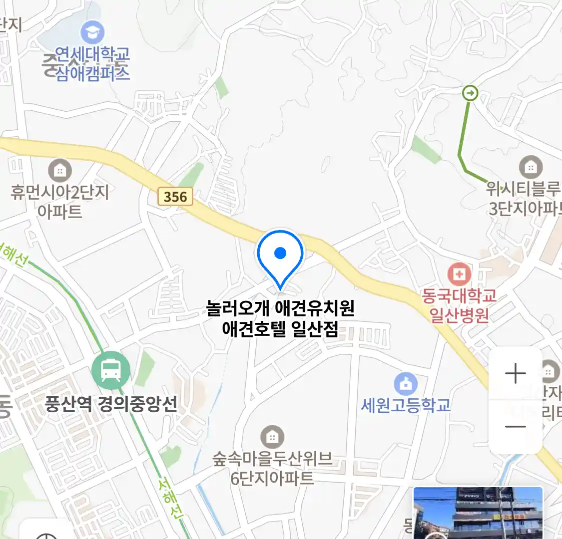 놀러오개 애견유치원 애견호텔 일산점 위치