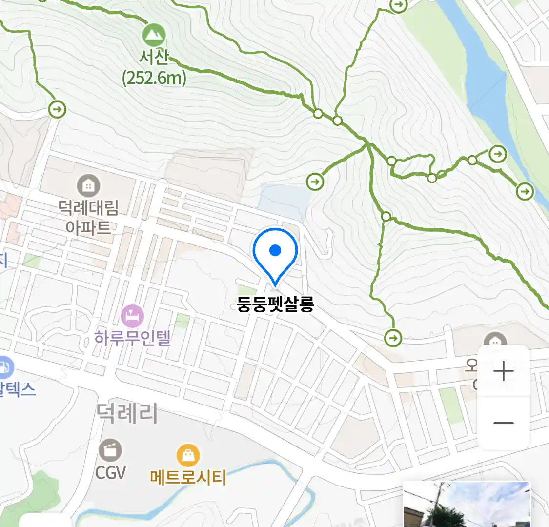둥둥펫살롱 위치