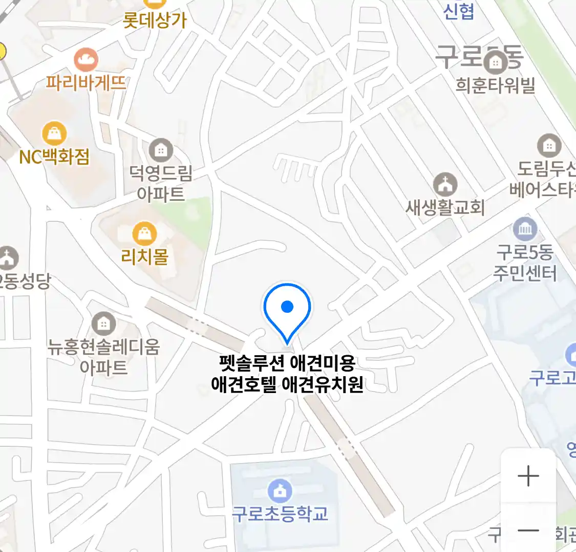 펫솔루션 애견미용 애견호텔 애견유치원