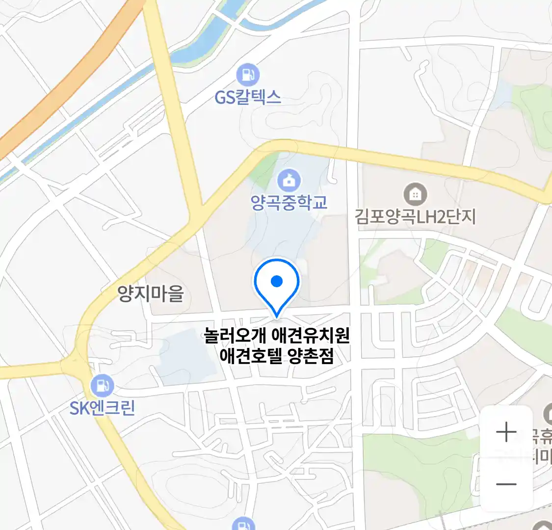 놀러오개 애견유치원 애견호텔 양촌점 위치
