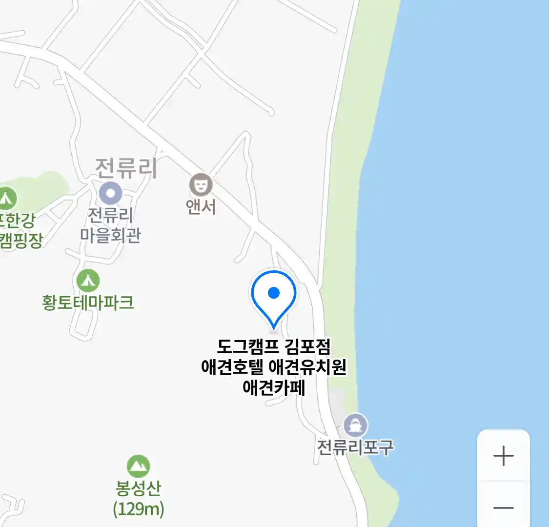 도그캠프 김포점 애견호텔 애견유치원 애견카페 위치