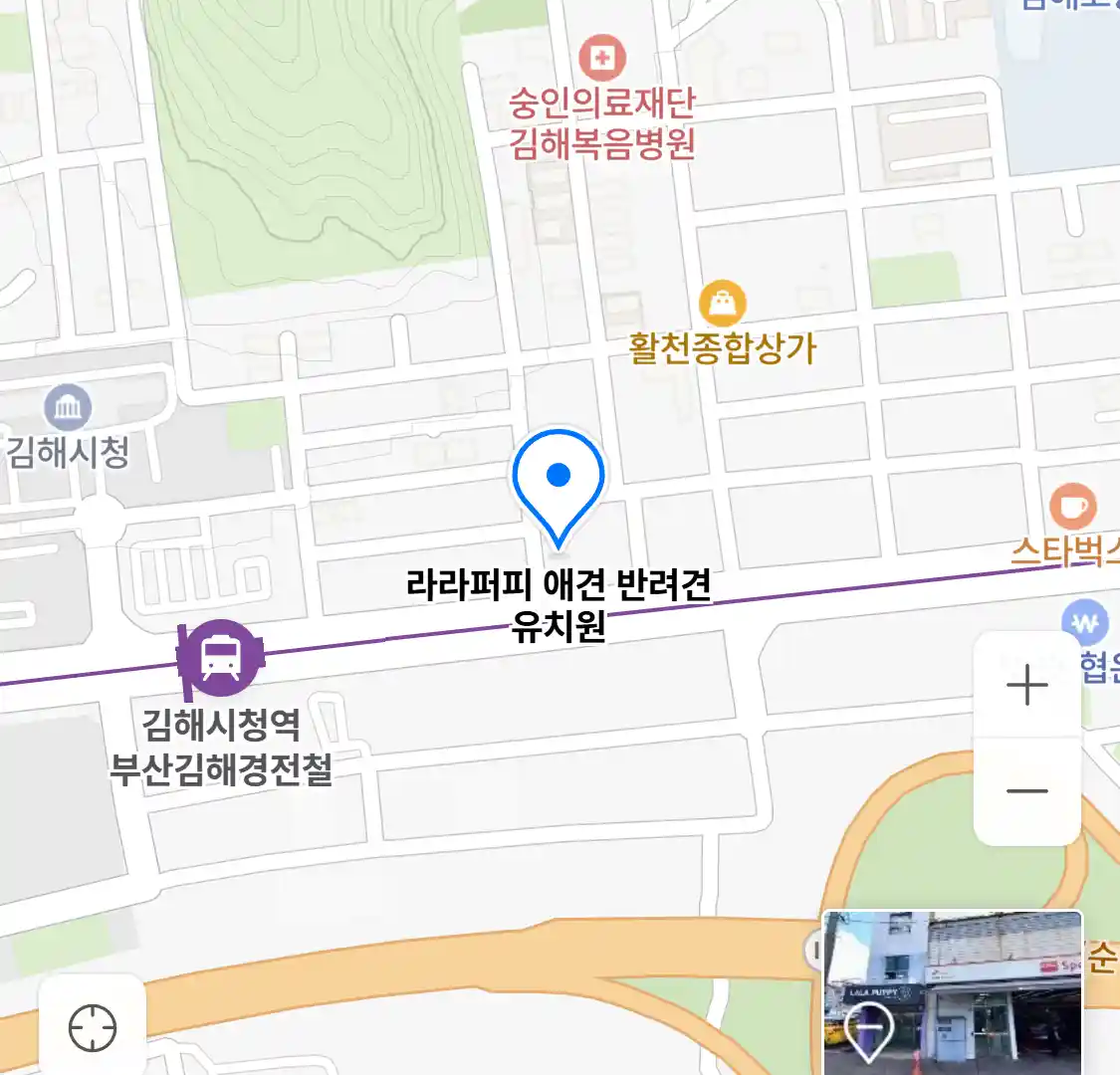 라라퍼피 애견 반려견 유치원 위치