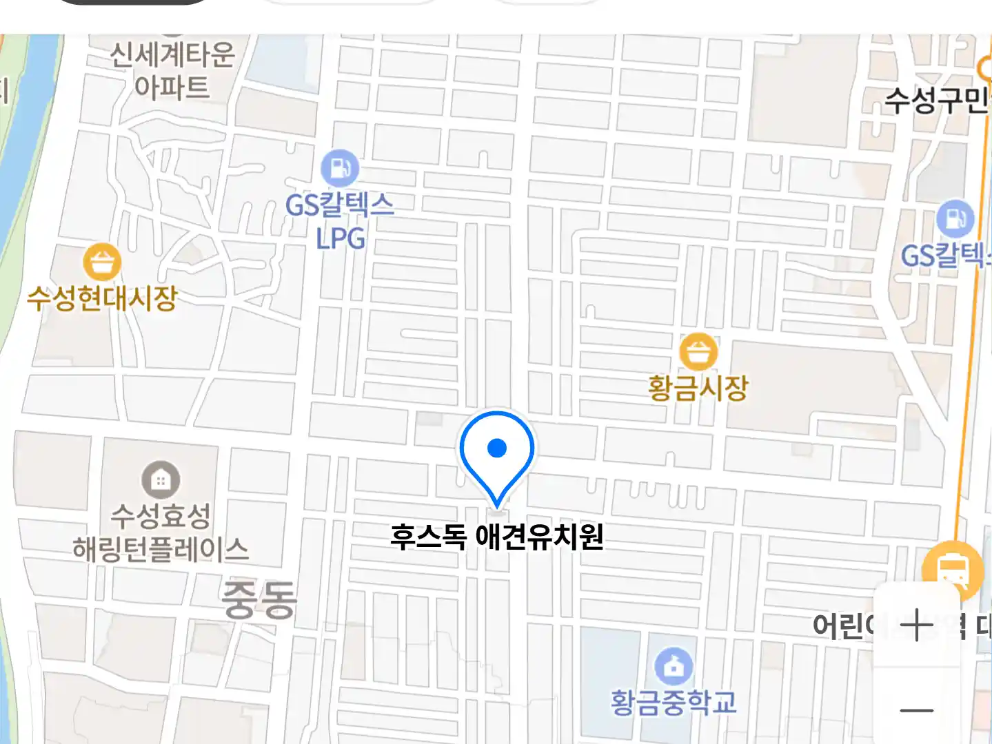 후스독 애견유치원 위치