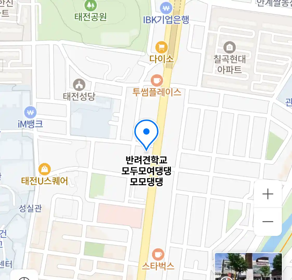 반려견학교 모두모여댕댕 모모댕댕 위치