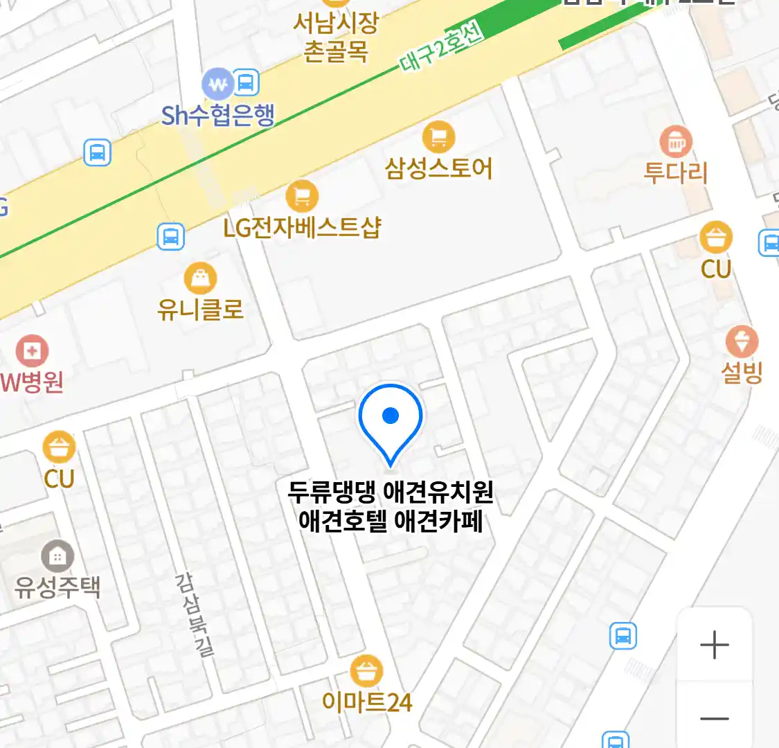두류댕댕 애견유치원 애견호텔 애견카페 위치