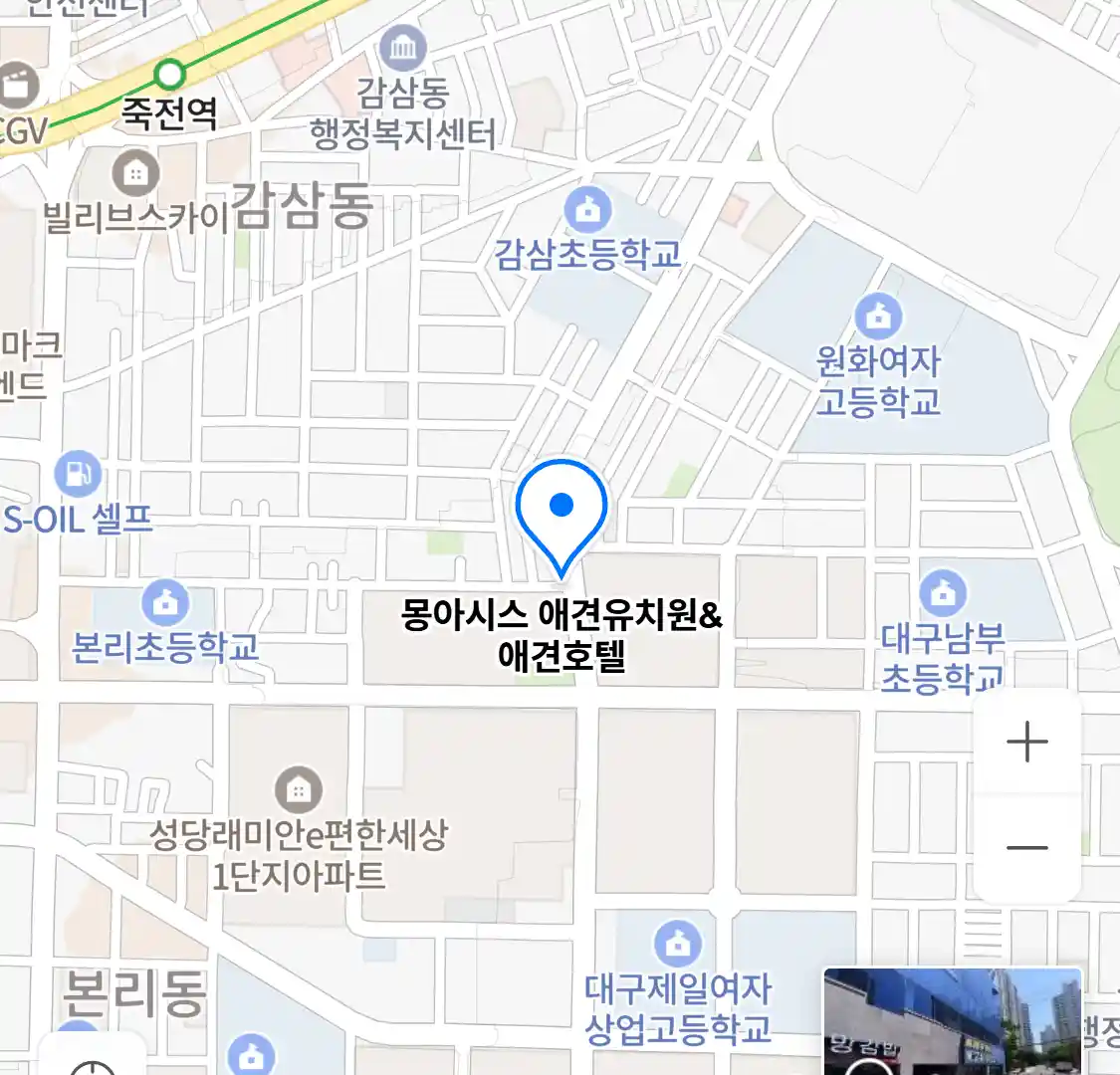 몽아시스 애견유치원&애견호텔 위치