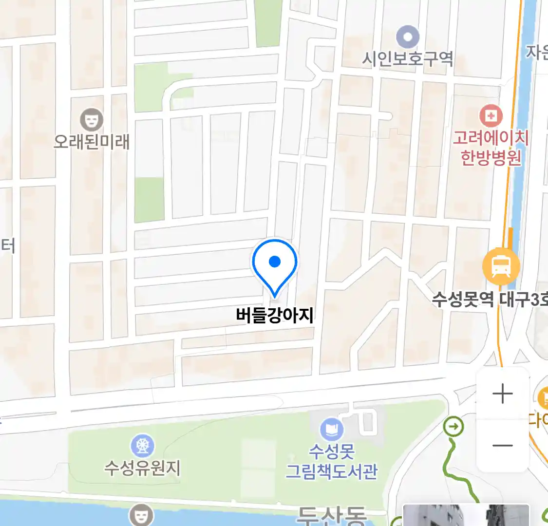 버들강아지 위치