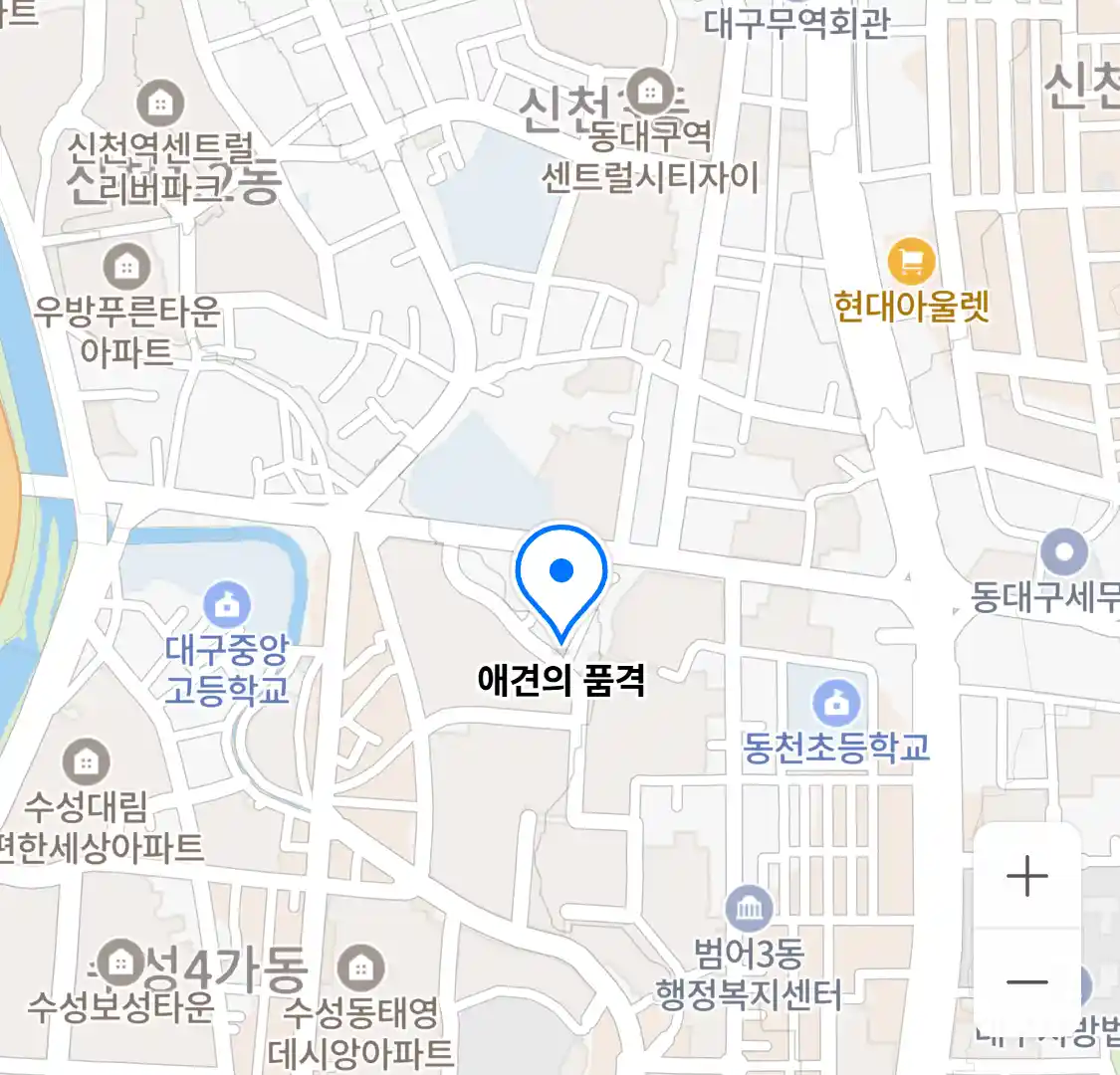 애견의 품격 위치