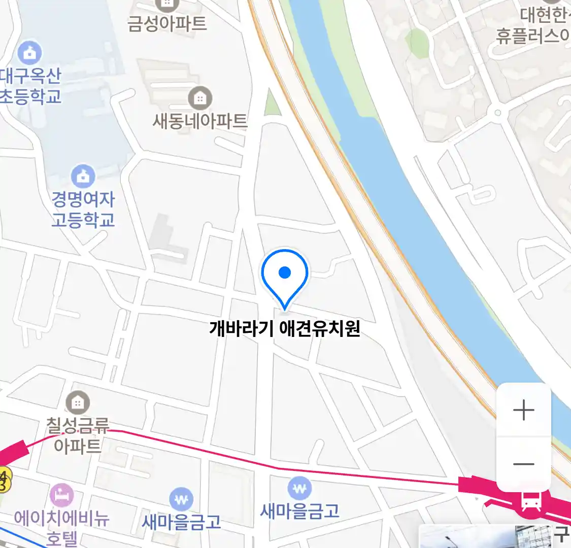 개바라기 애견유치원 위치