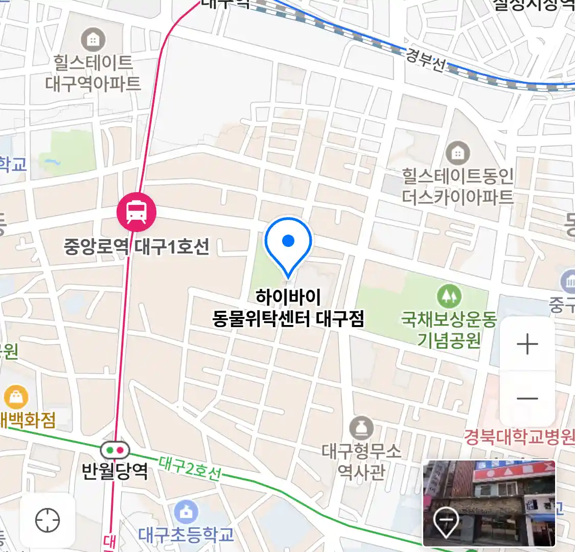 하이바이 동물위탁센터 대구점 위치