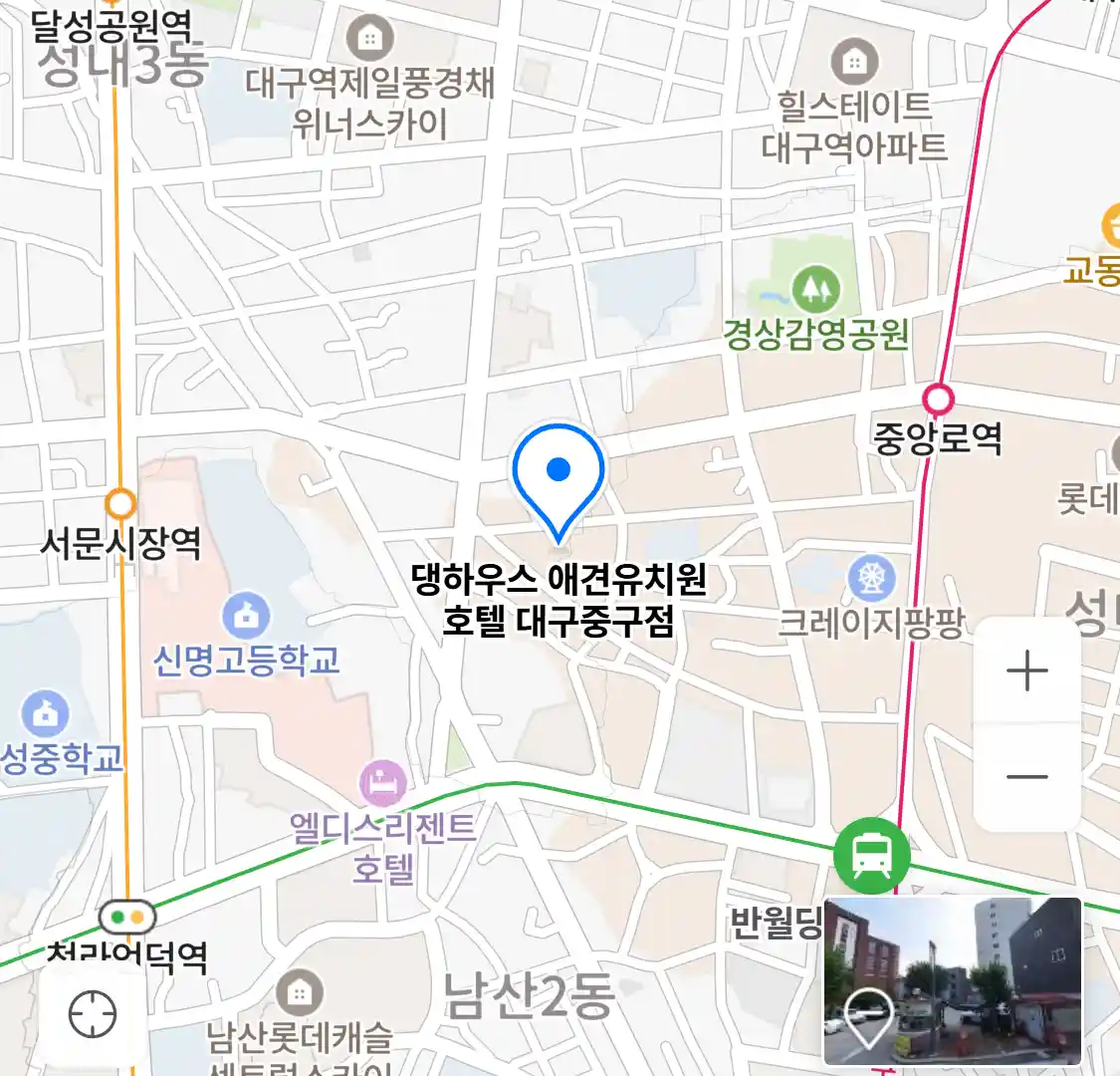 댕하우스 애견유치원 호텔 대구중구점 위치