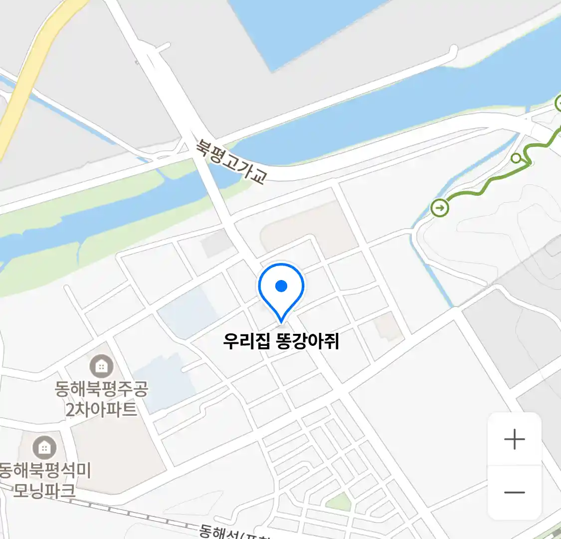 우리집 똥강아쥐 위치