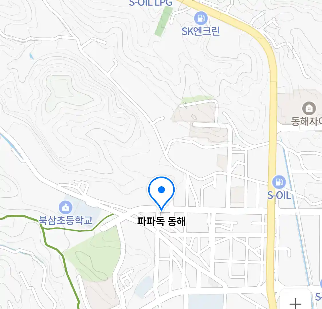 파파독 동해 위치