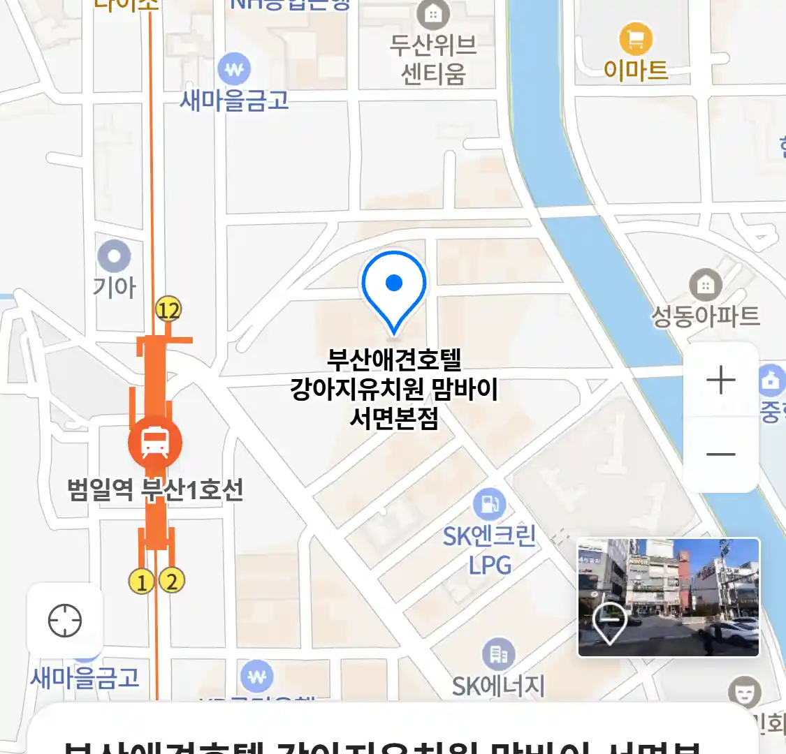 부산애견호텔 강아지유치원 맘바이 서면본점 위치