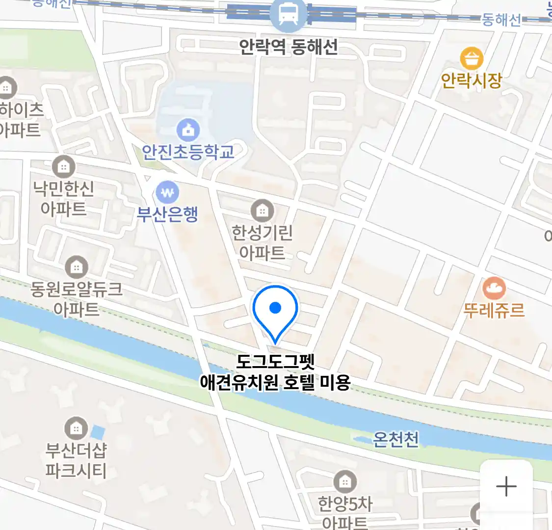 도그도그펫 애견유치원 호텔 미용 위치