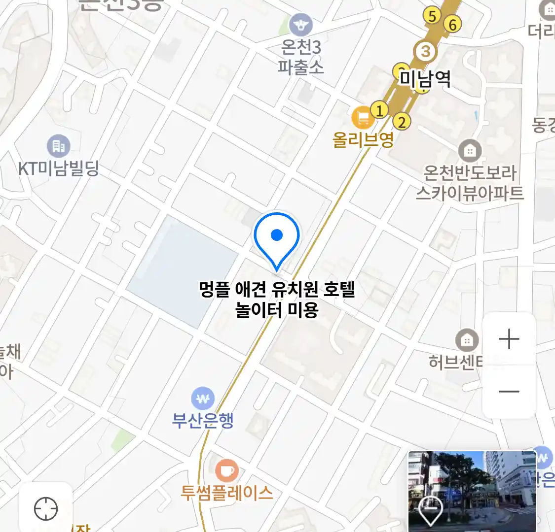 멍플 애견 유치원 호텔 놀이터 미용 위치
