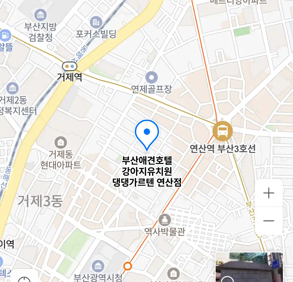 부산애견호텔 강아지유치원 댕댕가르텐 연산점 위치
