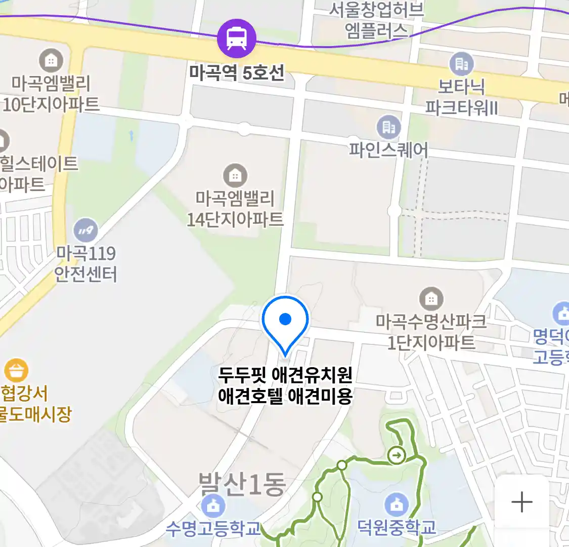 두두핏 애견유치원 애견호텔 애견미용 위치