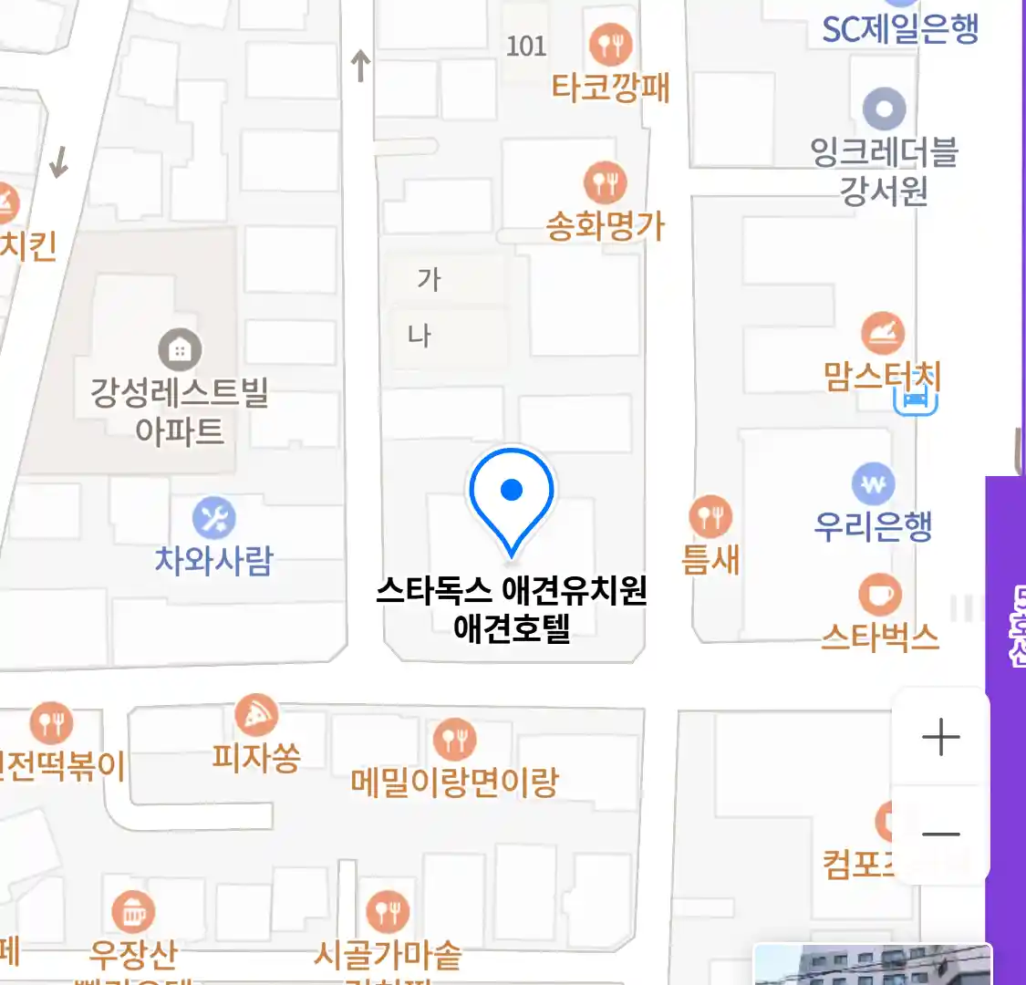 스타독스 애견유치원 애견호텔 위치