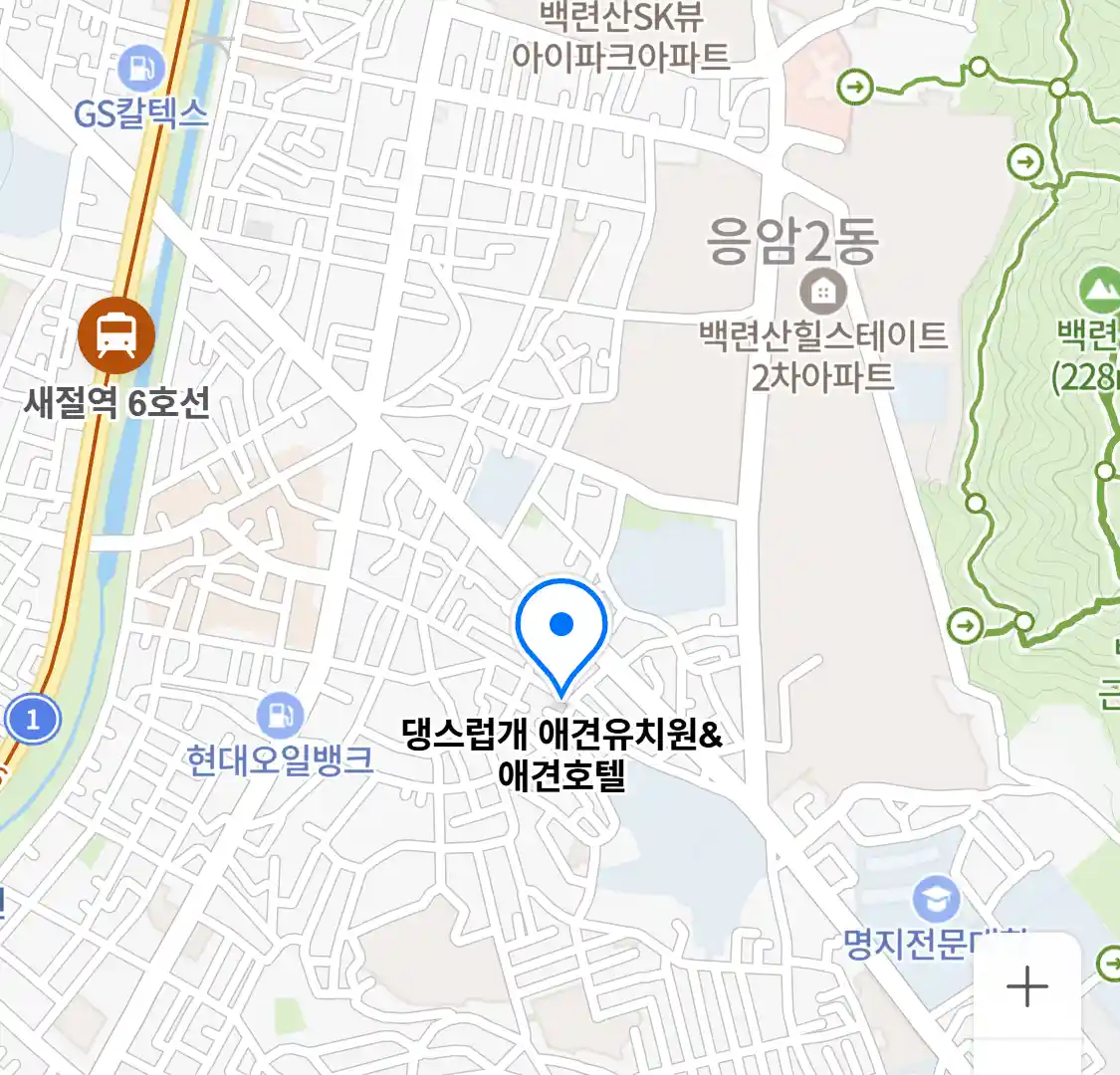 댕스럽개 애견유치원&애견호텔 위치