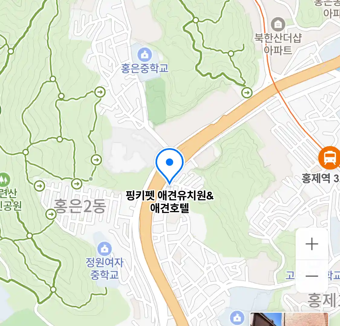 핑키펫 애견유치원&애견호텔 위치