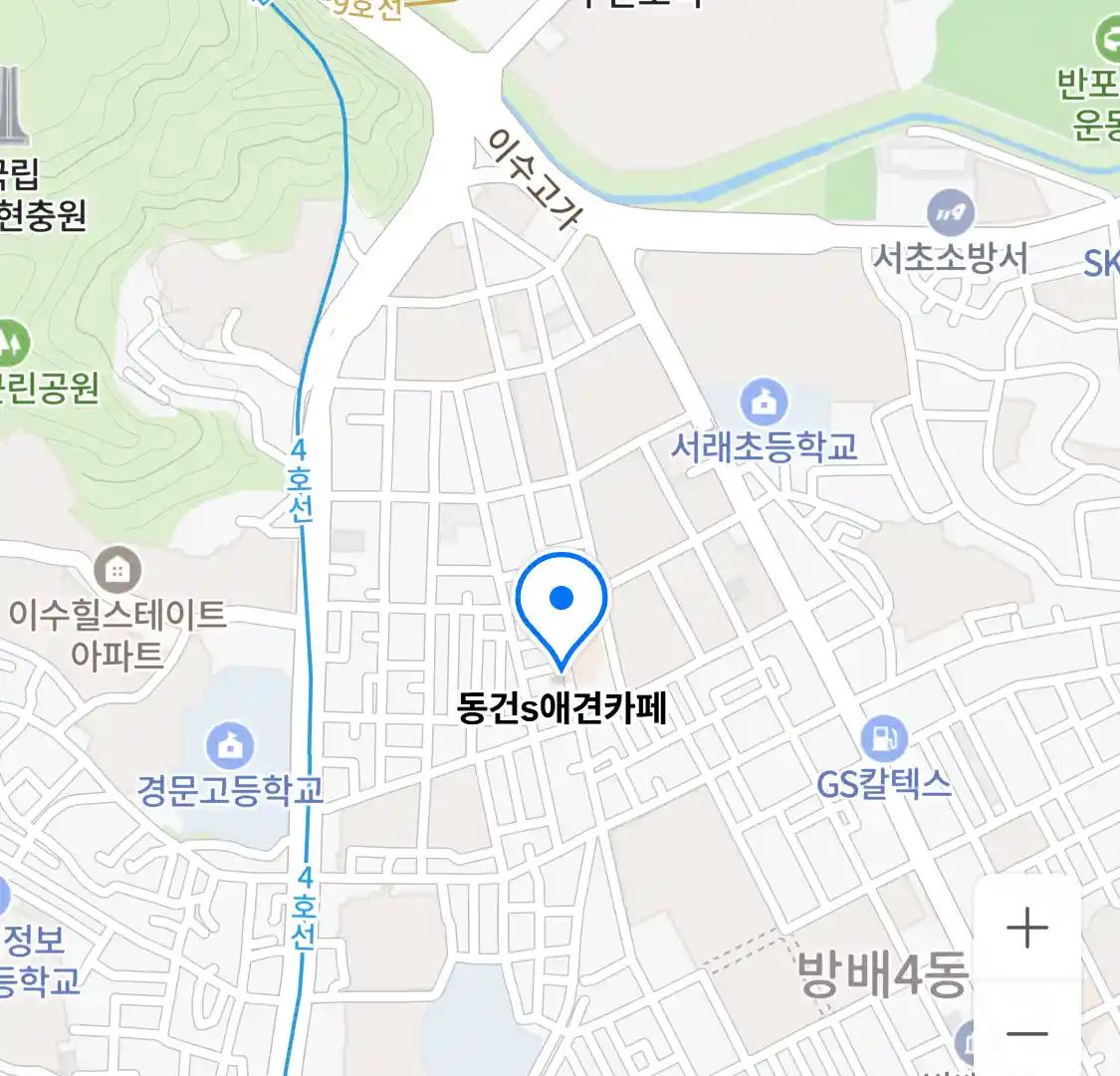 동건s애견카페 위치
