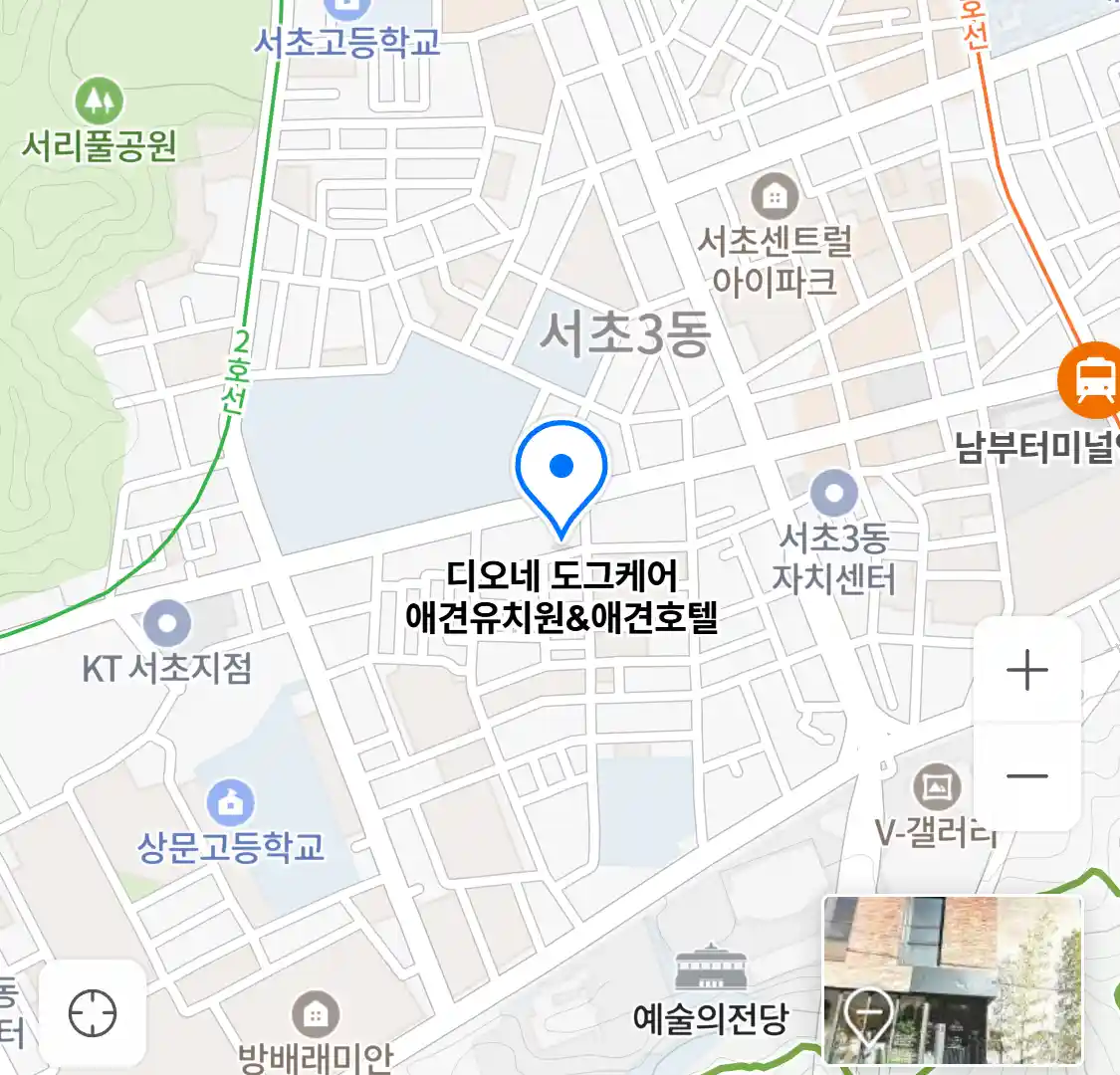 디오네 도그케어 애견유치원&애견호텔 위치