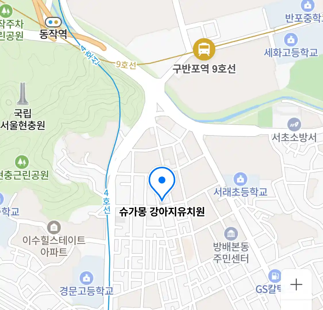 슈가몽 강아지유치원 위치