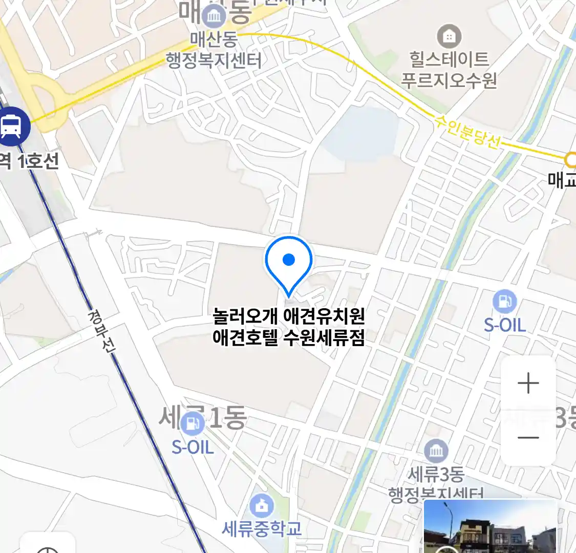 놀러오개 애견유치원 애견호텔 수원세류점 위치