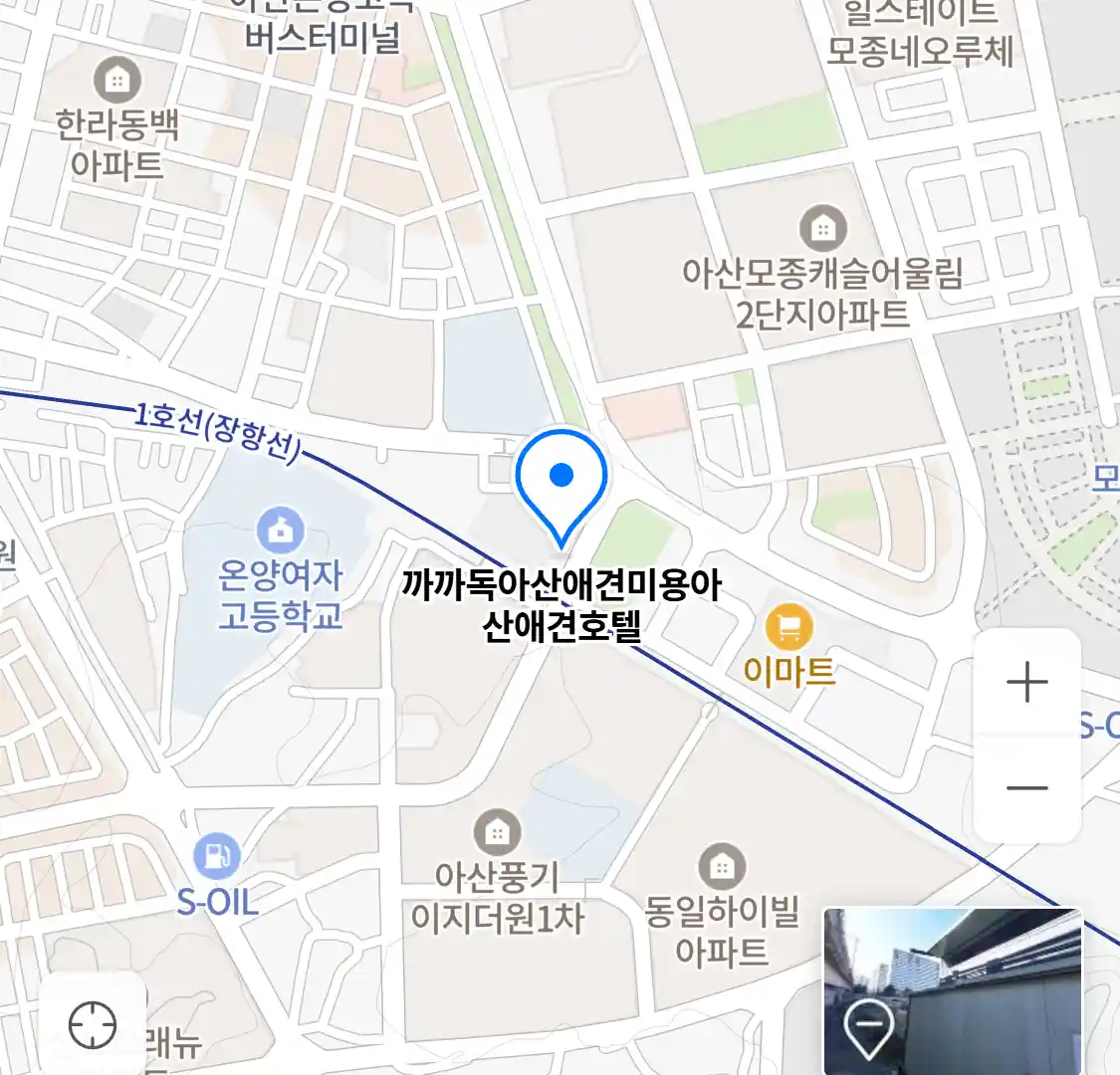 까까독아산애견미용아산애견호텔 위치