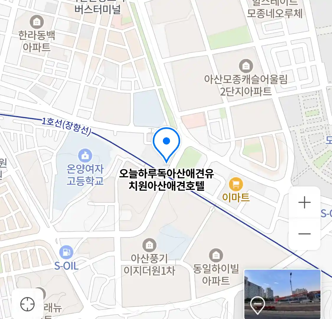 오늘하루독아산애견유치원아산애견호텔 위치