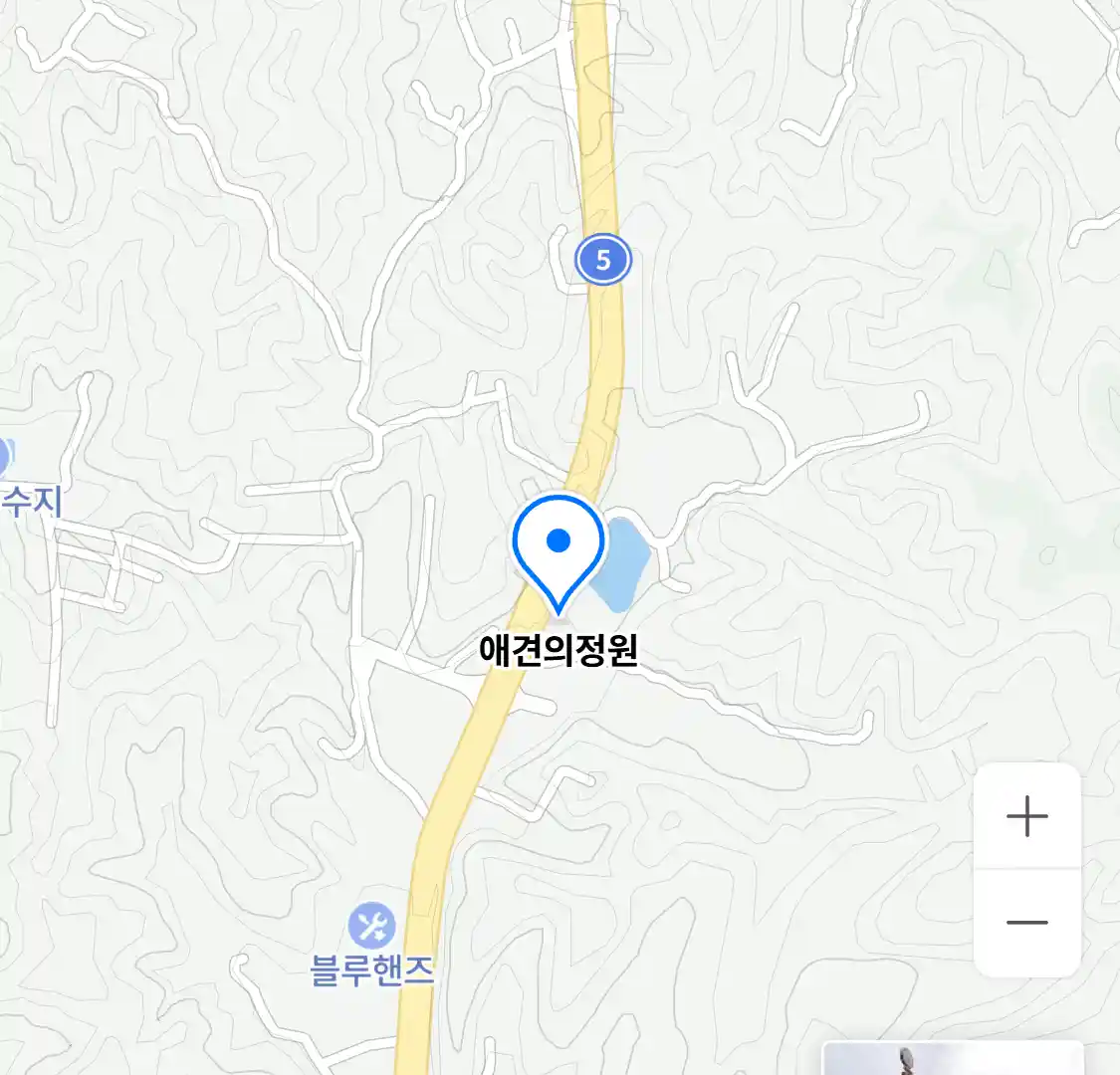애견의정원 위치