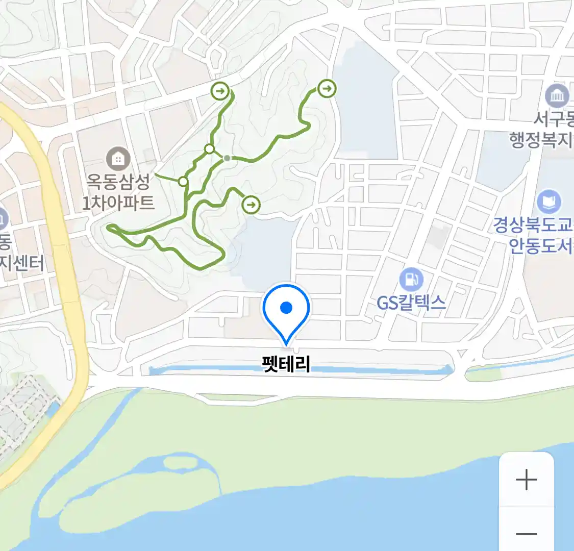 펫테리 위치